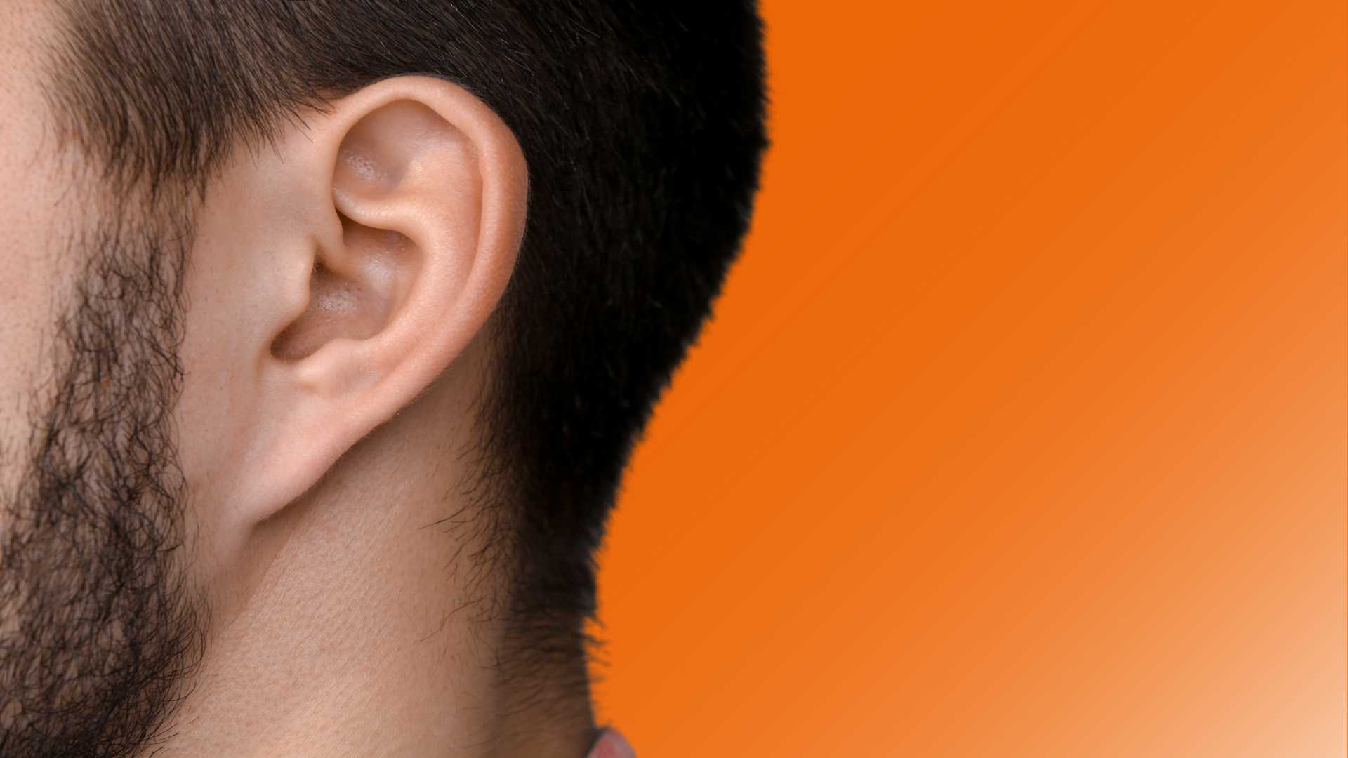 Oreille propre